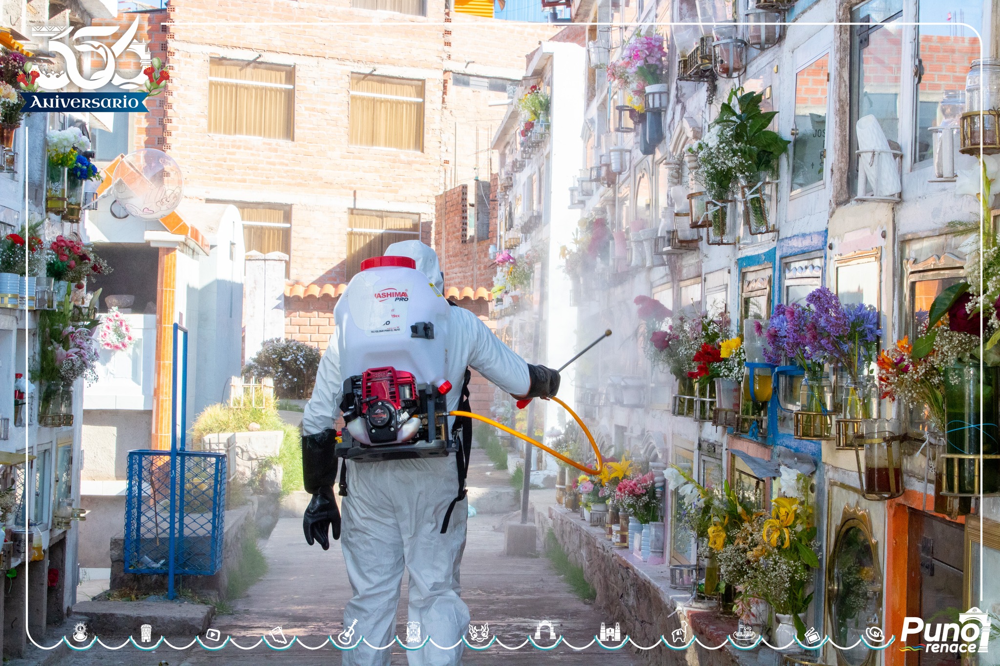 Fumigación Cementerio Laykakota